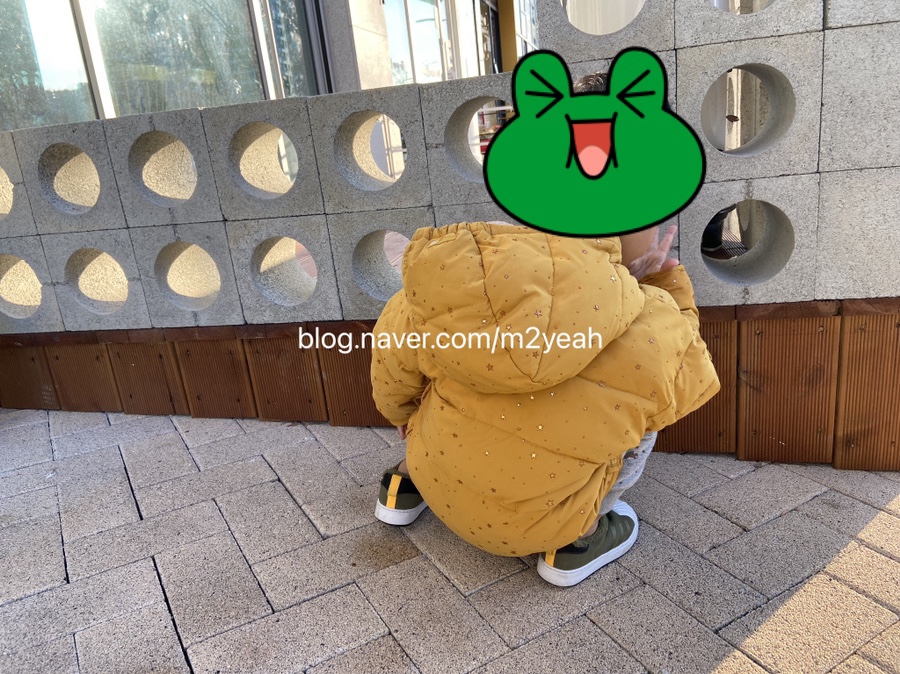 야옹수산 이미지