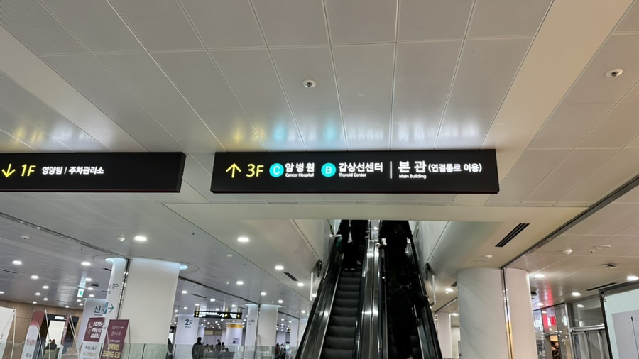 신환신세 이미지