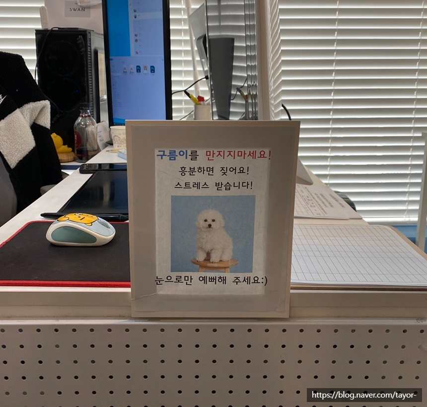 파란구름사진관 이미지