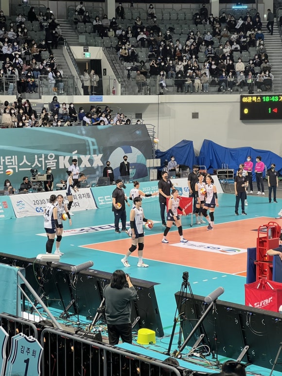 볼사이팅 이미지
