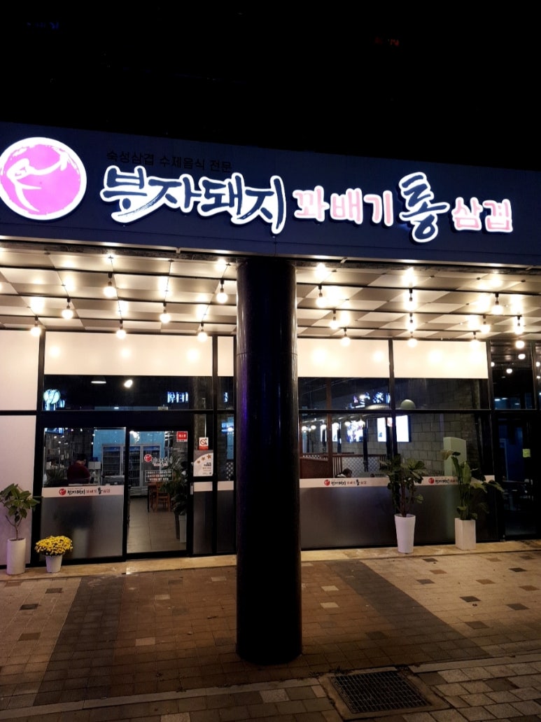 부자돼지진주 이미지