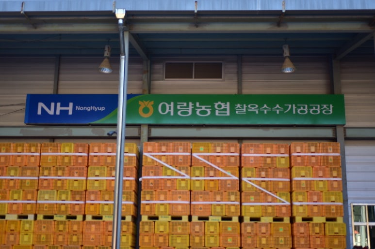 여량농협 찰옥수수 가공공장 이미지