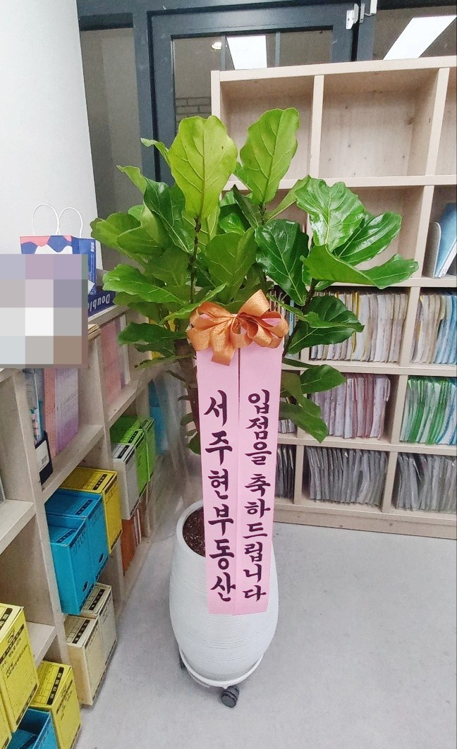 미추홀세무회계사무소 이미지