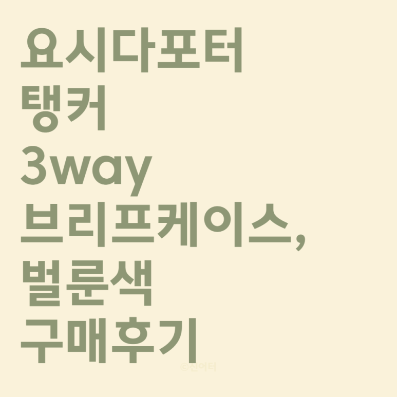 스타럭스포터 이미지