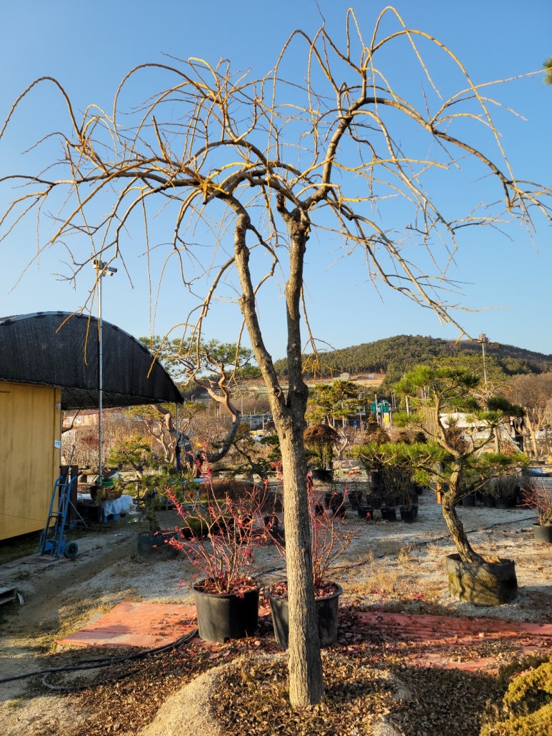 세종조경농원 이미지