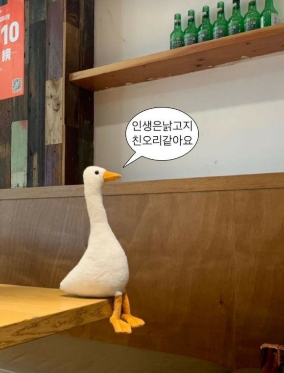 아이스콘나라 이미지