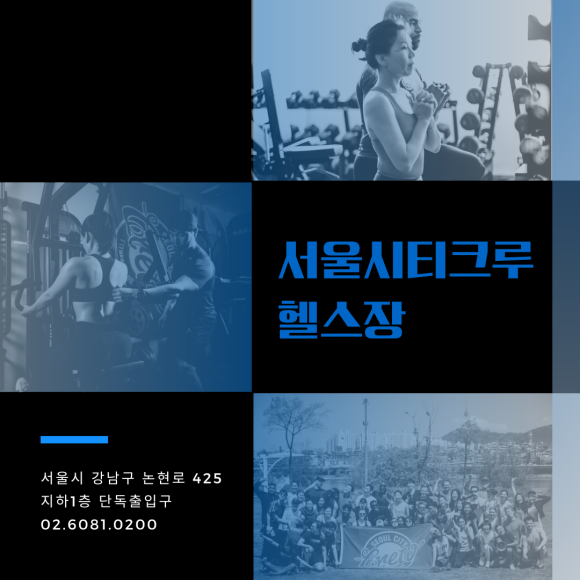 서울시티크루 이미지