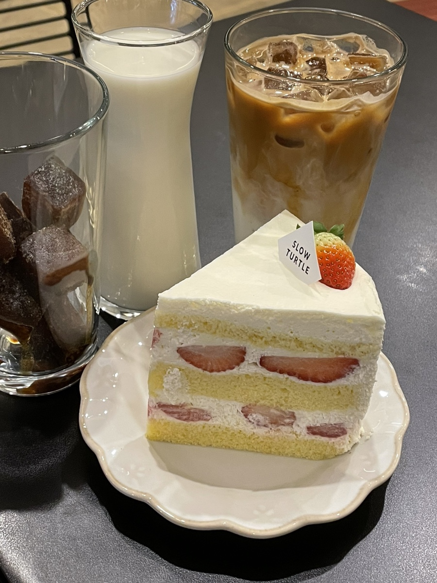 슬로우터틀 이미지