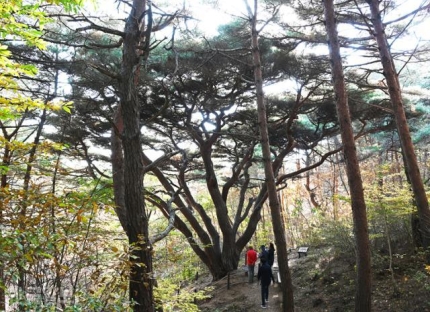 서산갯마을식당 이미지