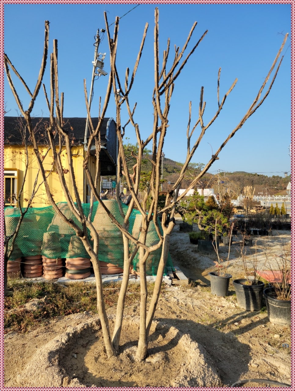 세종조경공사 이미지