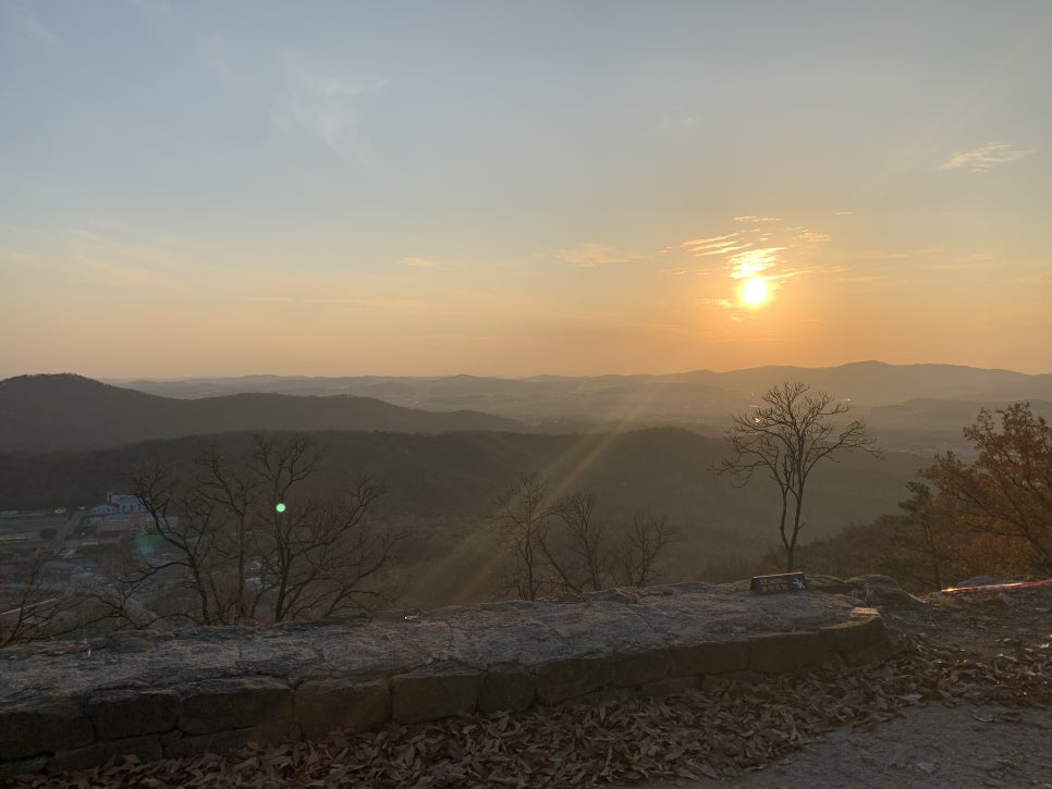 브로윈 이미지
