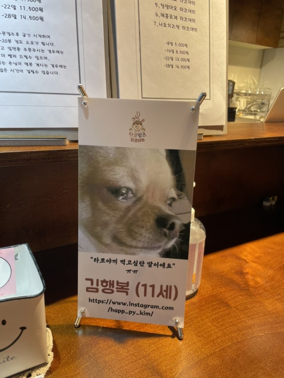 타코밤즈타코야끼 이미지