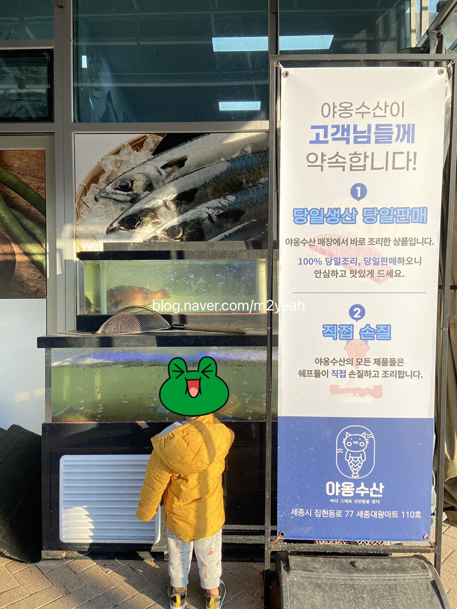 야옹수산 이미지