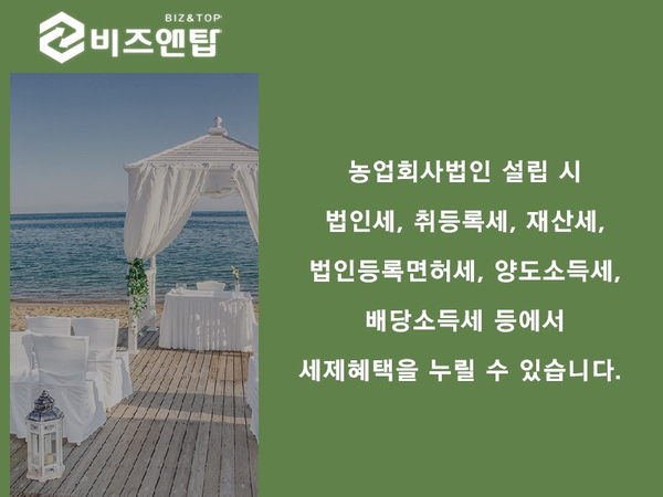 농업회사법인 유한회사 보고 이미지