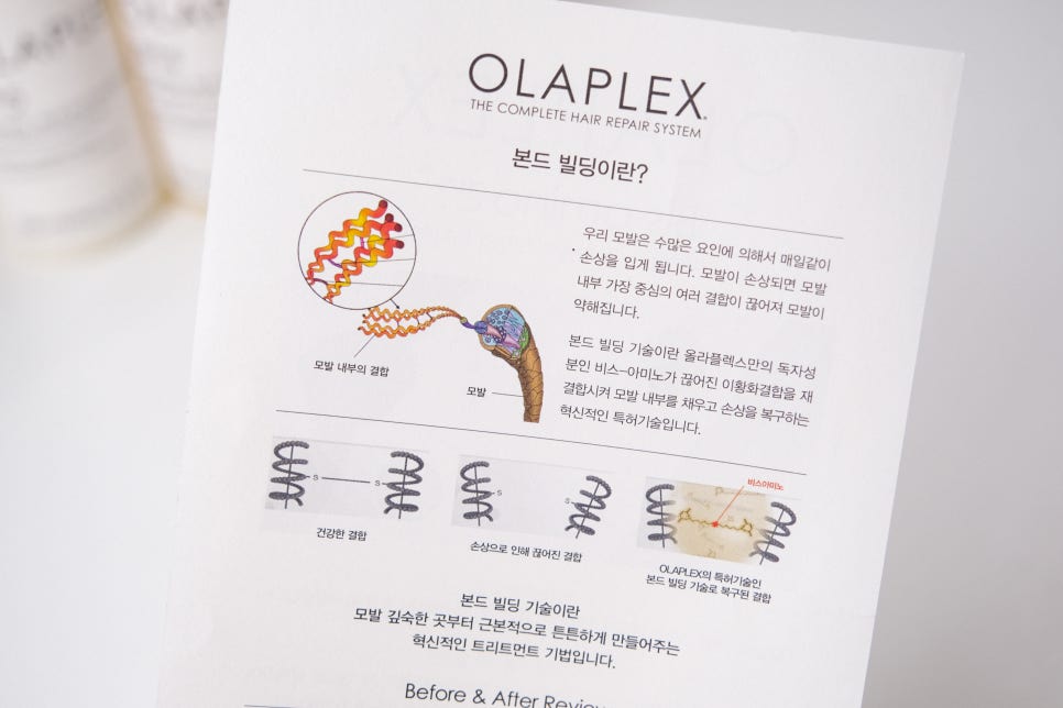 렉스헤어라인 이미지
