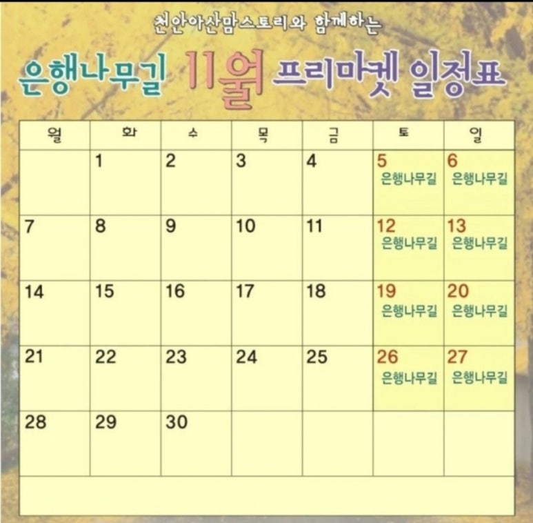 (주)바이킹마켓 이미지
