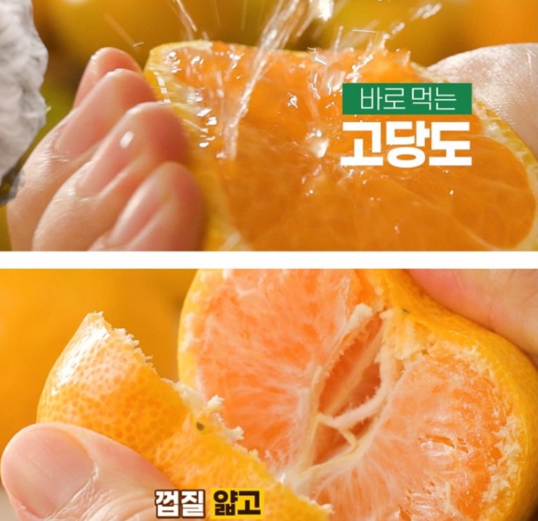 비타민천국 이미지