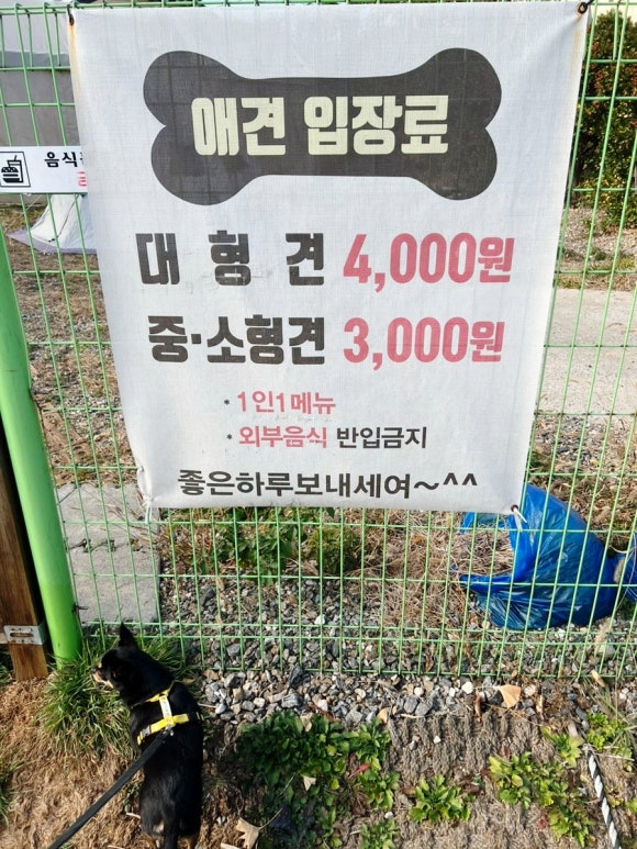 놀다가개 이미지