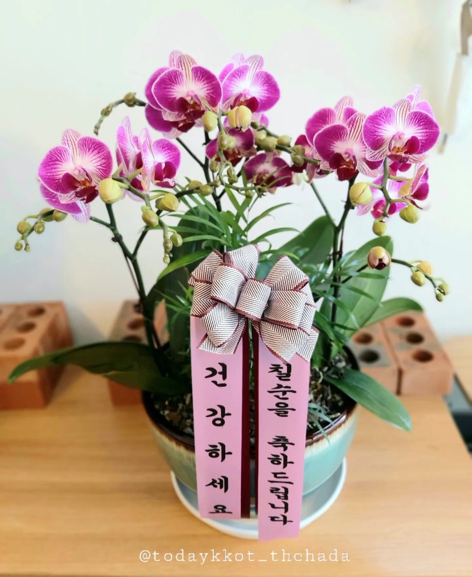 꽃난화 이미지