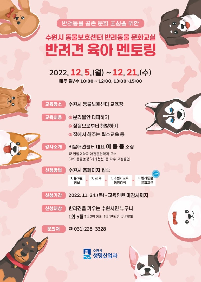 멘토링교육 이미지