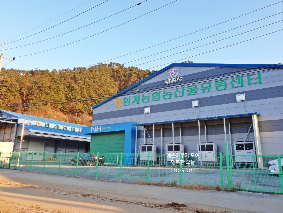 여량농협 찰옥수수 가공공장 이미지