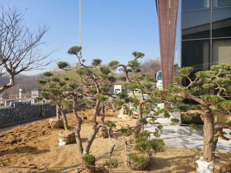 동남조경건설 이미지