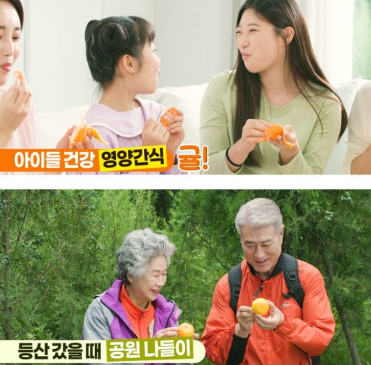 비타민천국 이미지
