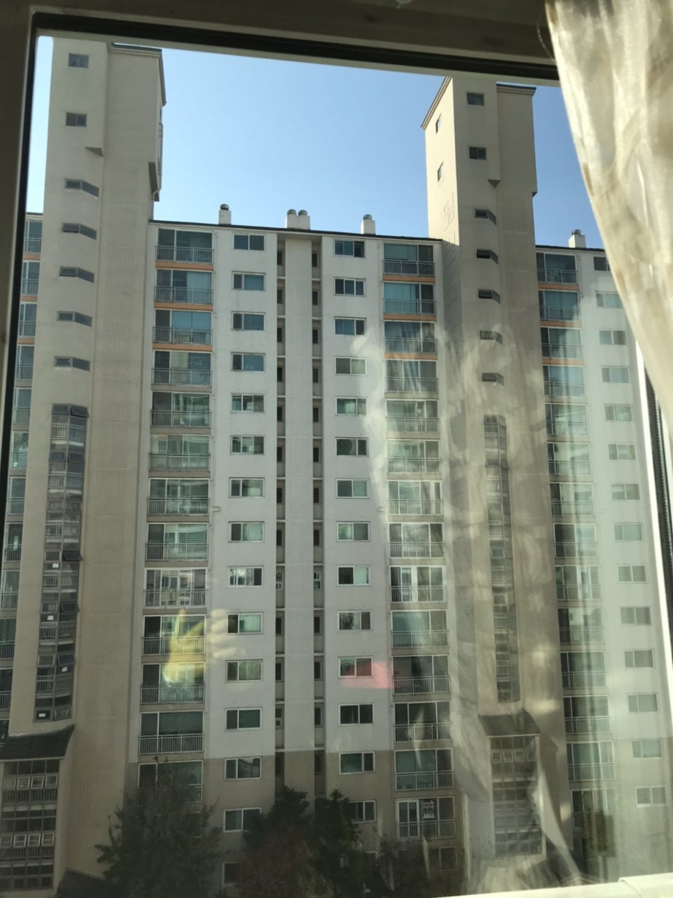 신세계청소전문 이미지