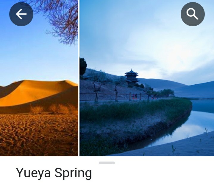 오아시스여행사주 이미지