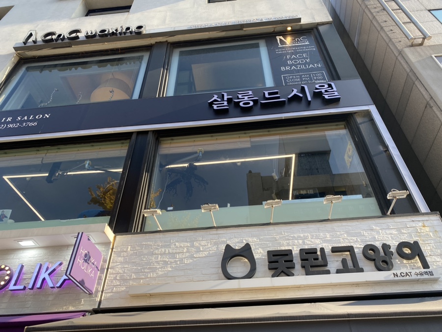 홀리카홀리카고속 이미지