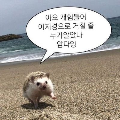 지화자 이미지