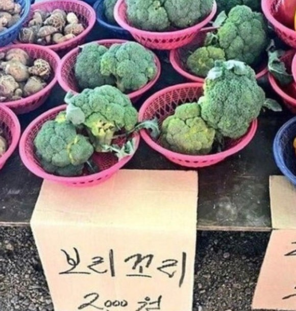 신창 칼국수 이미지