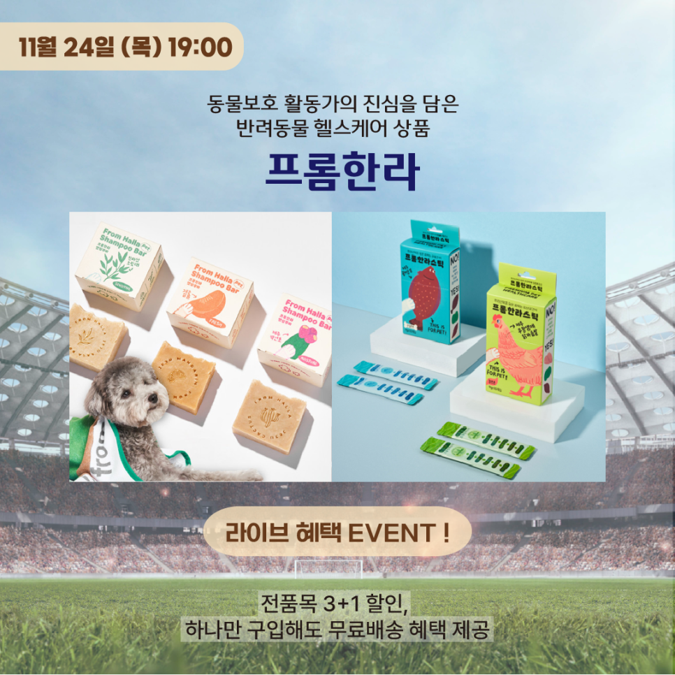 제주커머스 이미지