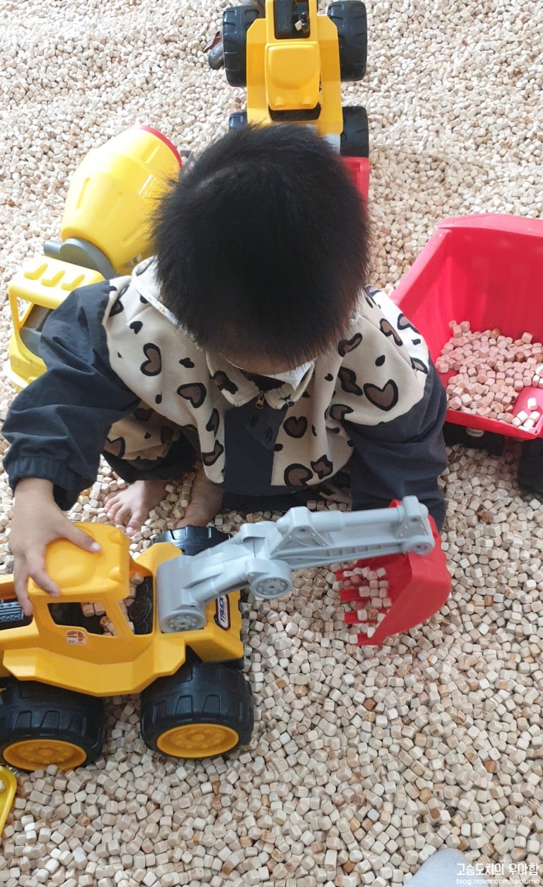 바니키즈랜드 이미지