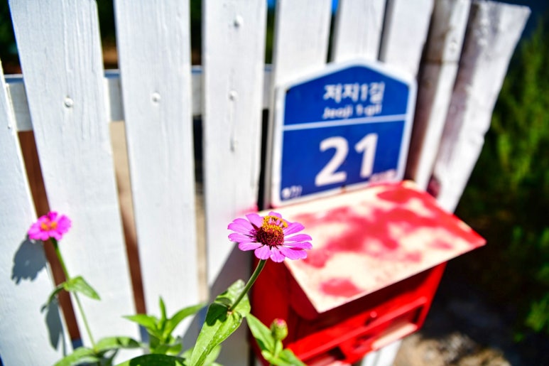 저지1521 이미지