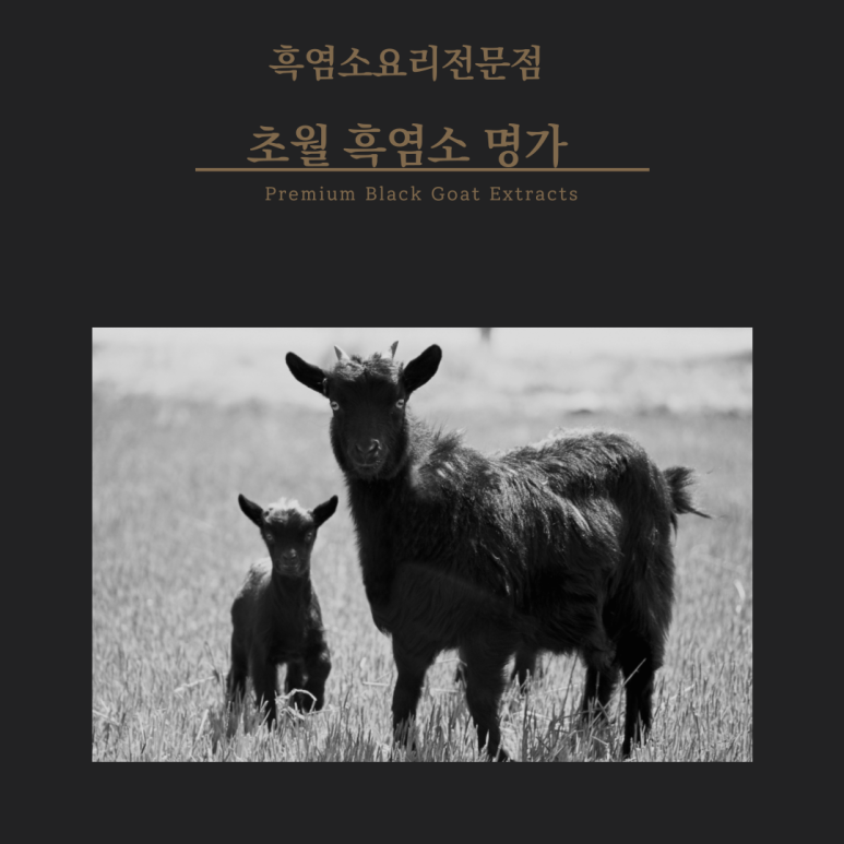 흑염소명가 이미지