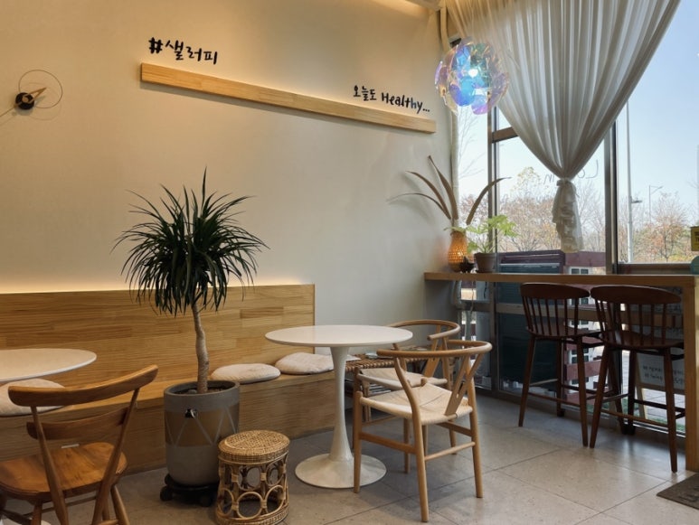 샐러피 이미지