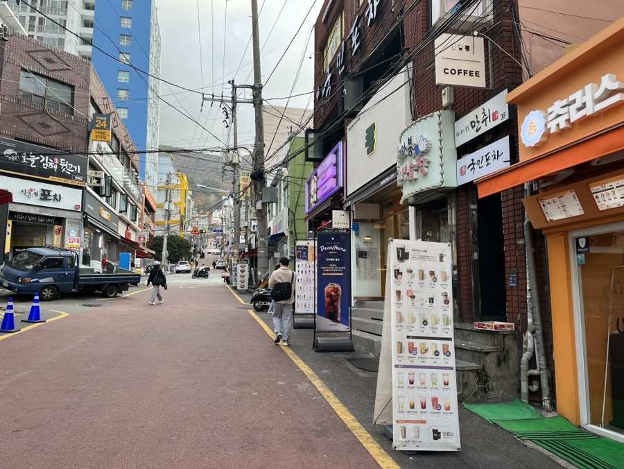 댄싱컵사상 이미지