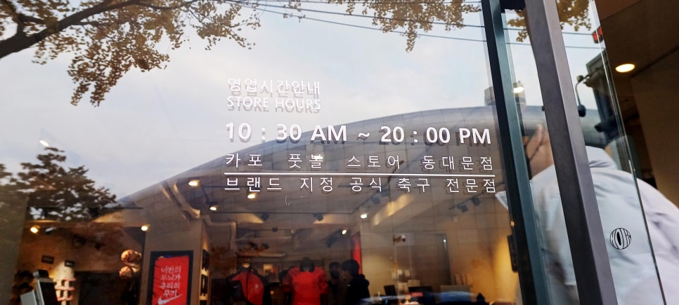더카포 이미지