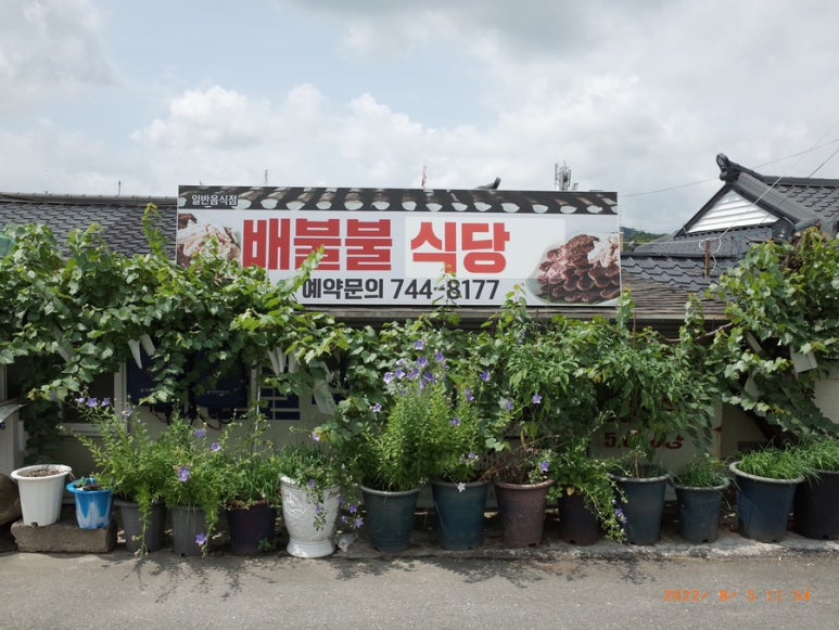 배불불식당 이미지