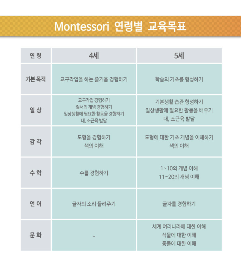밤비니교육센터 이미지