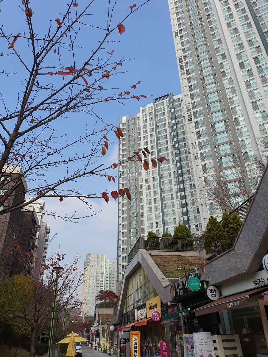 윤가네 밥상 이미지