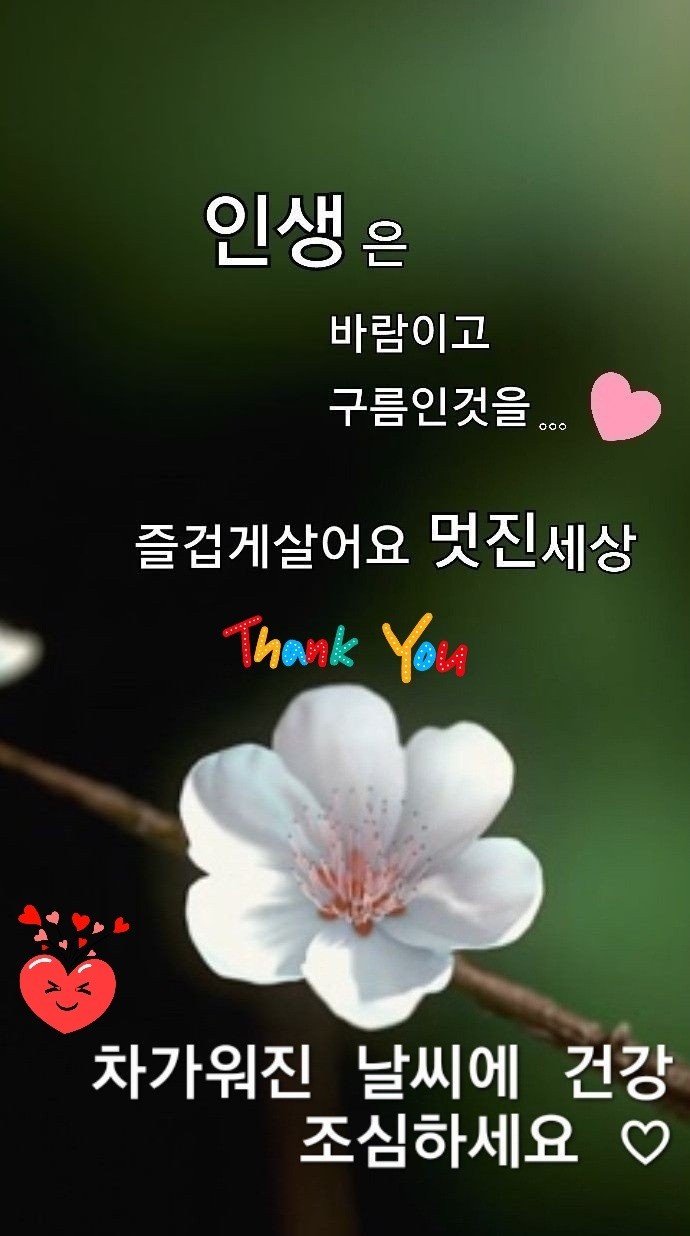 유영하는빛 이미지