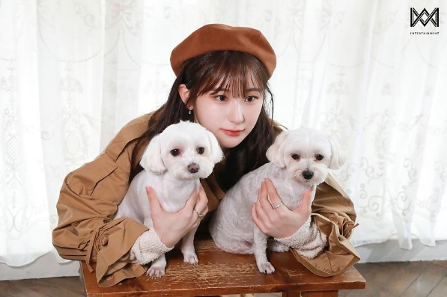 허쉬(HUSH) 이미지