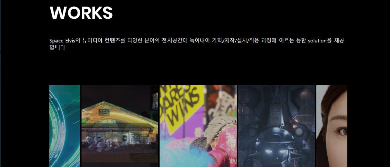 프로젝트엘비스 이미지