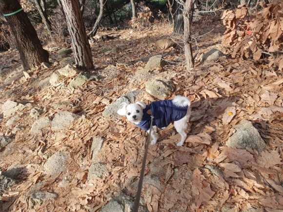 쌤앤하모니 이미지