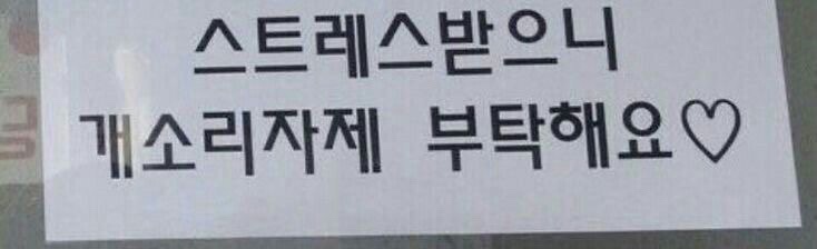 츄츄바앤츄밥 이미지