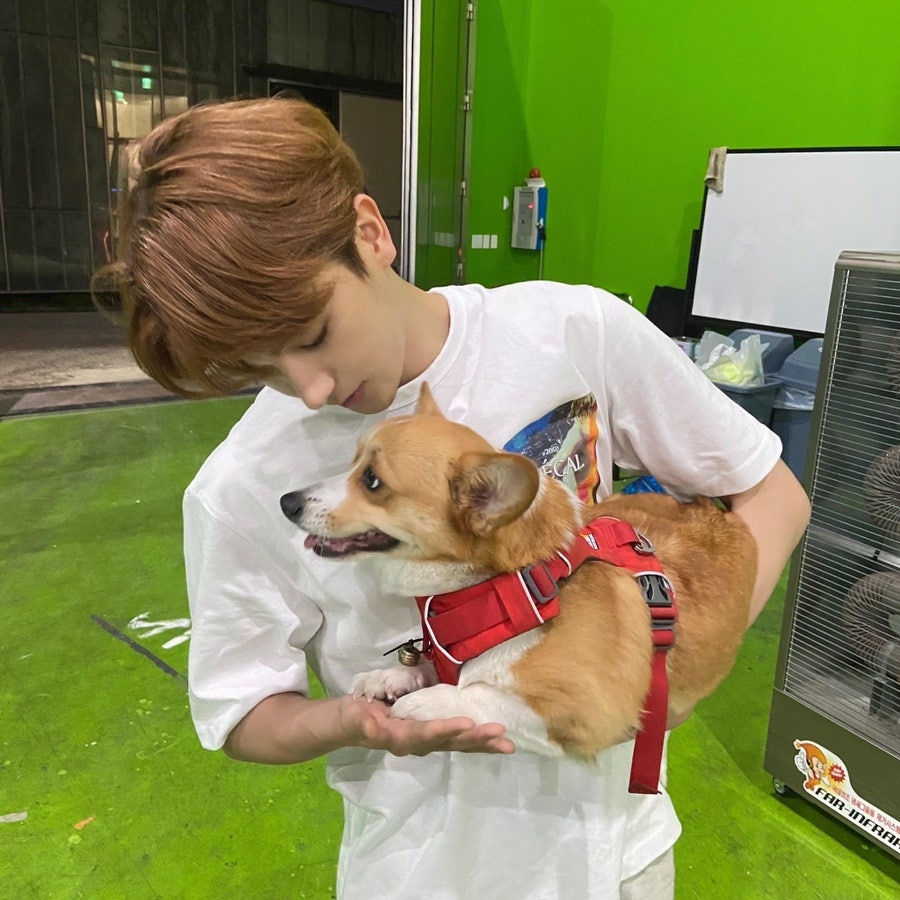 소소막창 이미지