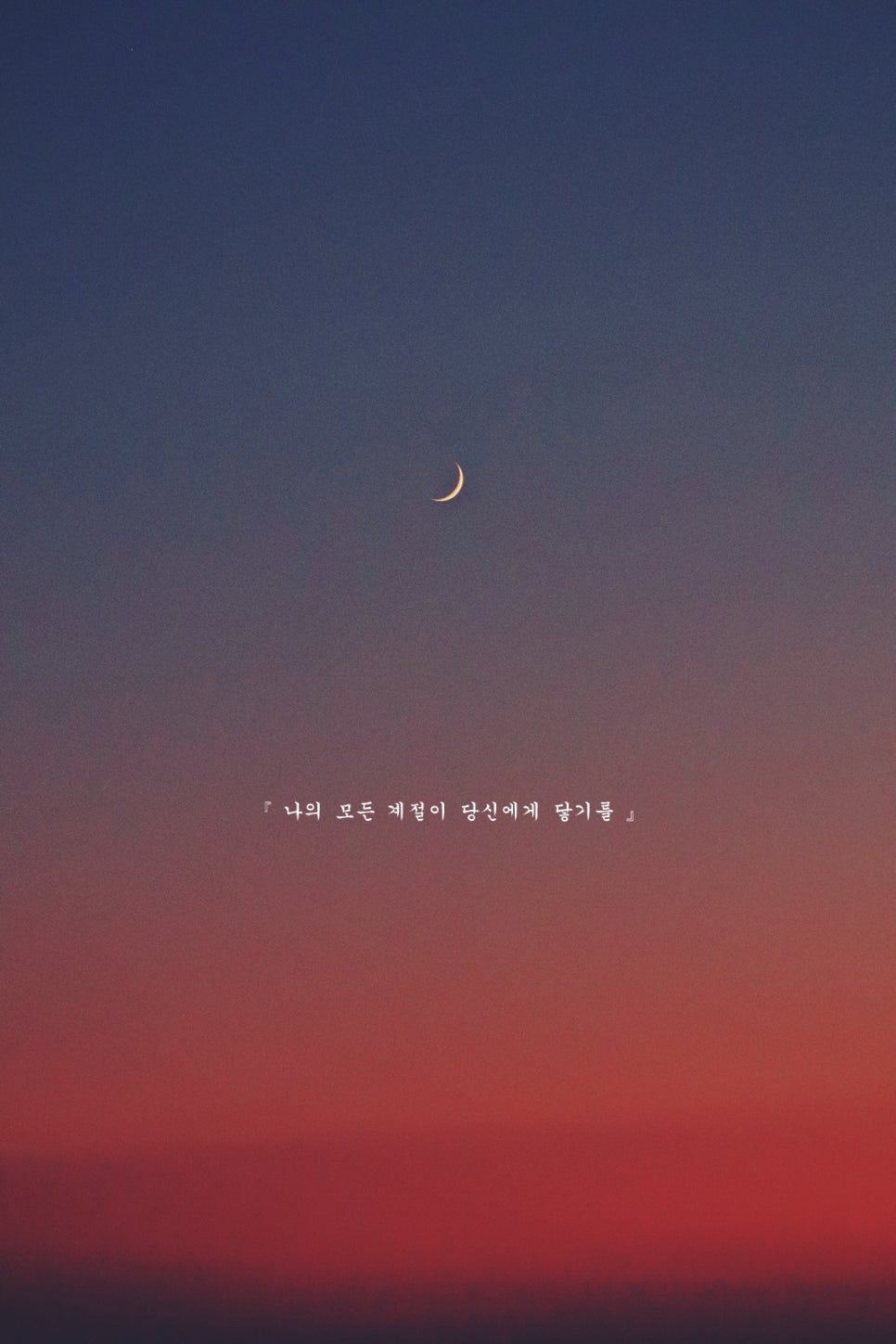 그리운필름 이미지