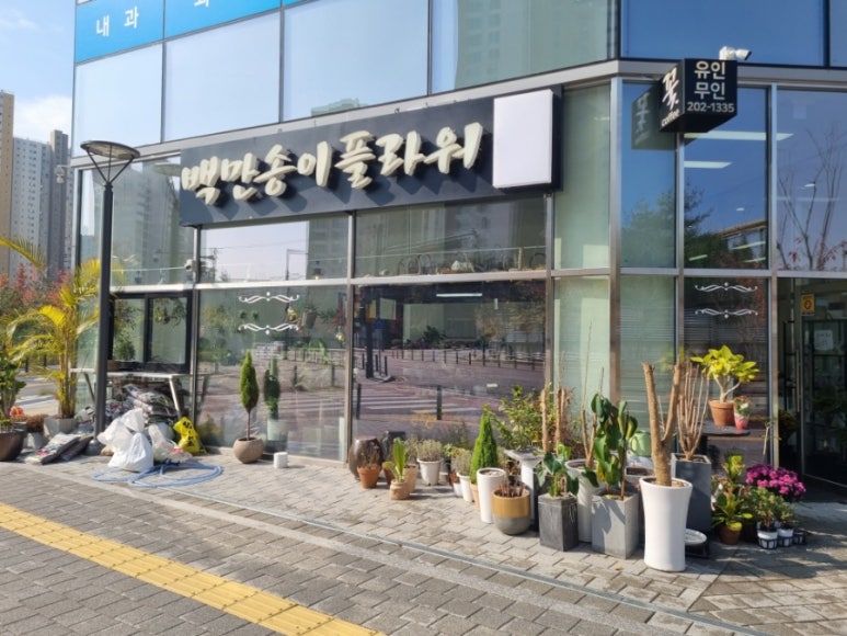 백만송이플라워 이미지